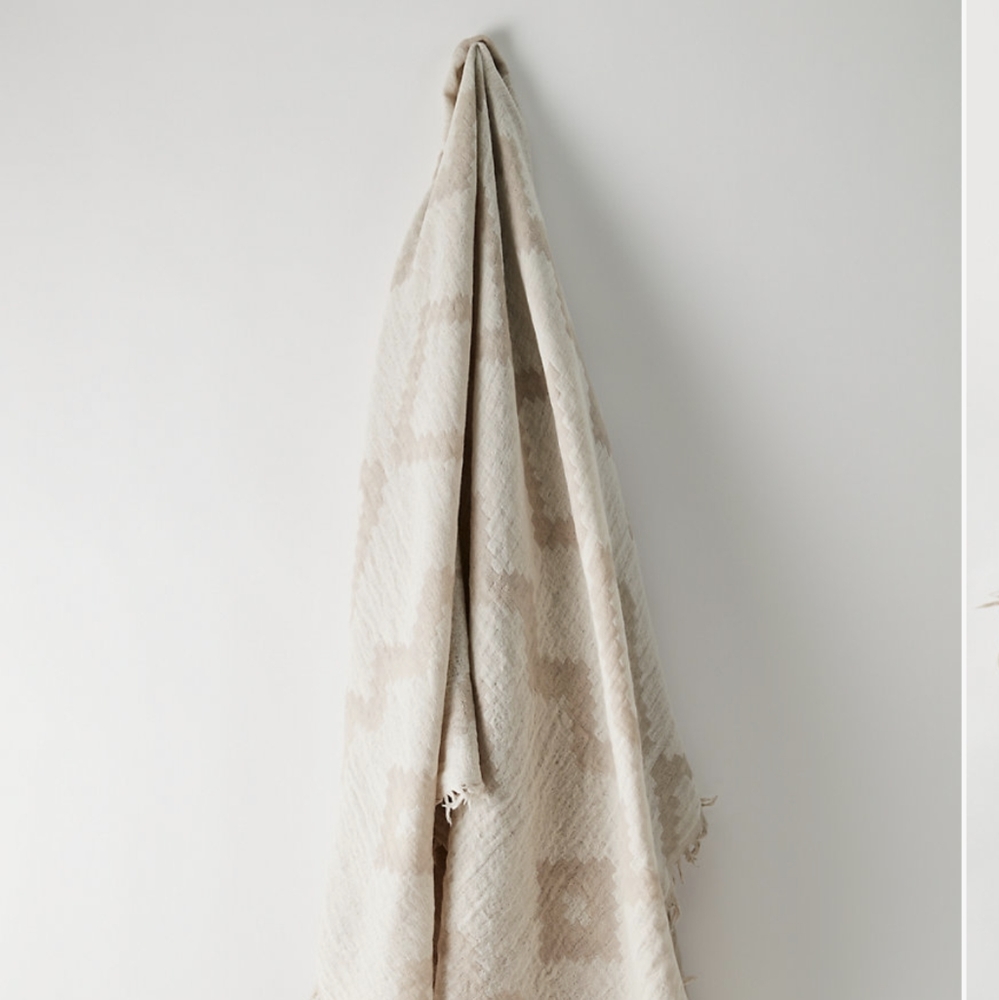 Aritzia Blanket Scarf